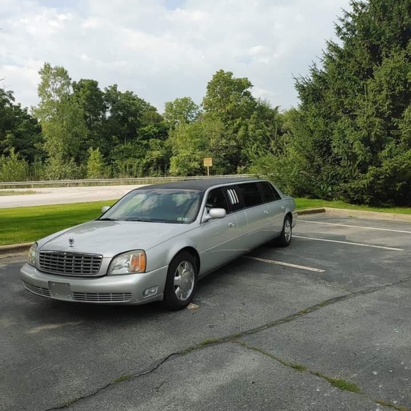 Meet your Posher, Drew - Picture 2 of 4